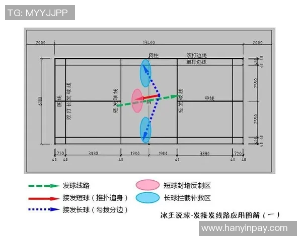 成都羽毛球队在联赛中的速度表现分析与战术探讨 成都羽毛球队在联赛中的速度表现分析与战术探讨