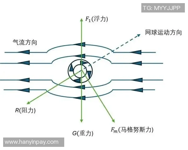 从零开始：网球力量完全攻略_1